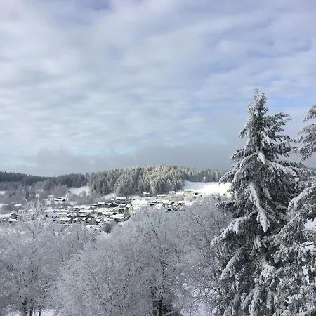 Forstpanorama Sankt Englmar