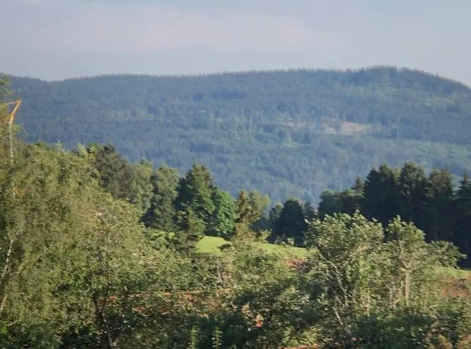Appartement Forstpanorama Sankt Englmar