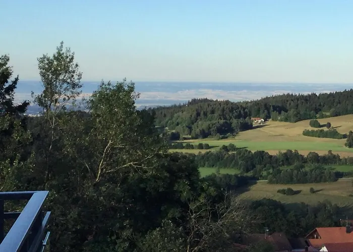 Forstpanorama *