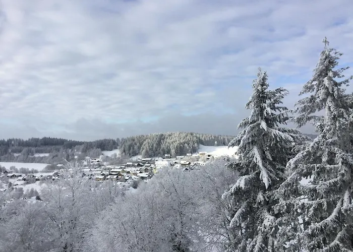 Forstpanorama Sankt Englmar